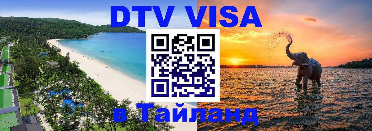 Сколько стоит DTV виза — актуальные цены, оформление даже без документов - Амстердам 